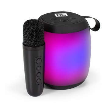 Караоке-система EXEGATE BRO 310 Караоке-система EXEGATE BRO 310